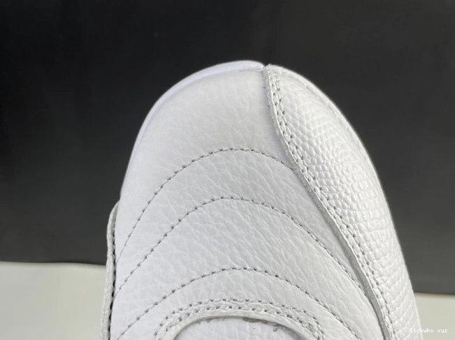 Twist Air Jordan 12 CT8013-106 0522